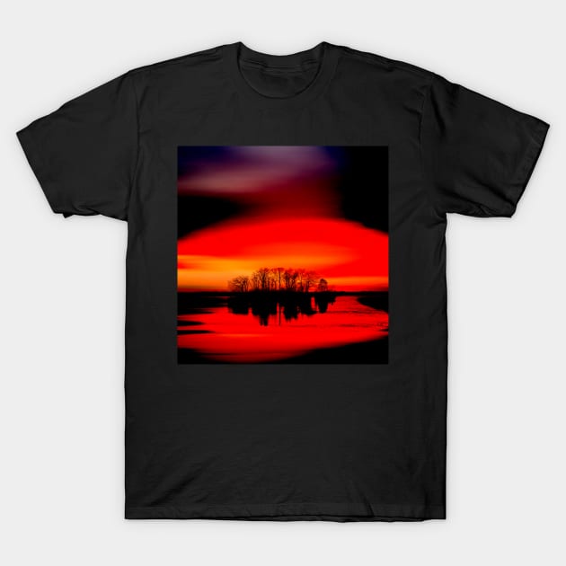 Red and Orange Sunset High Contrast T-Shirt by Punderstandable